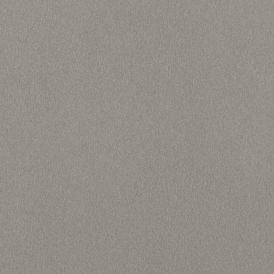 Столешница Алюминий мелкоматированный F502/ST2 EGGER 4100х600х38 мм