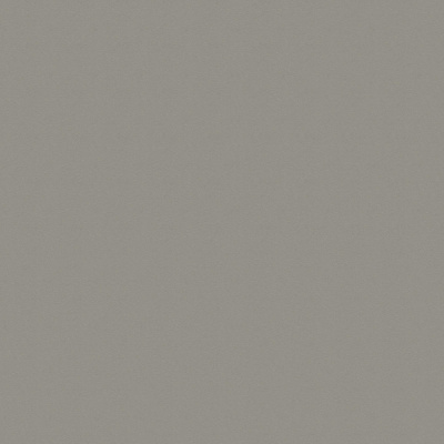 Столешница Алюминий мелкоматированный F502/ST2 EGGER 4100х600х38 мм