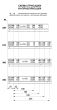 BOYARD.Направляющие шариковые, скрытого монтажа B-slide DB8881Zn/270